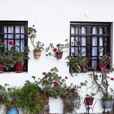 Olerki By Smiling Rentals Hondarribia Esterno foto