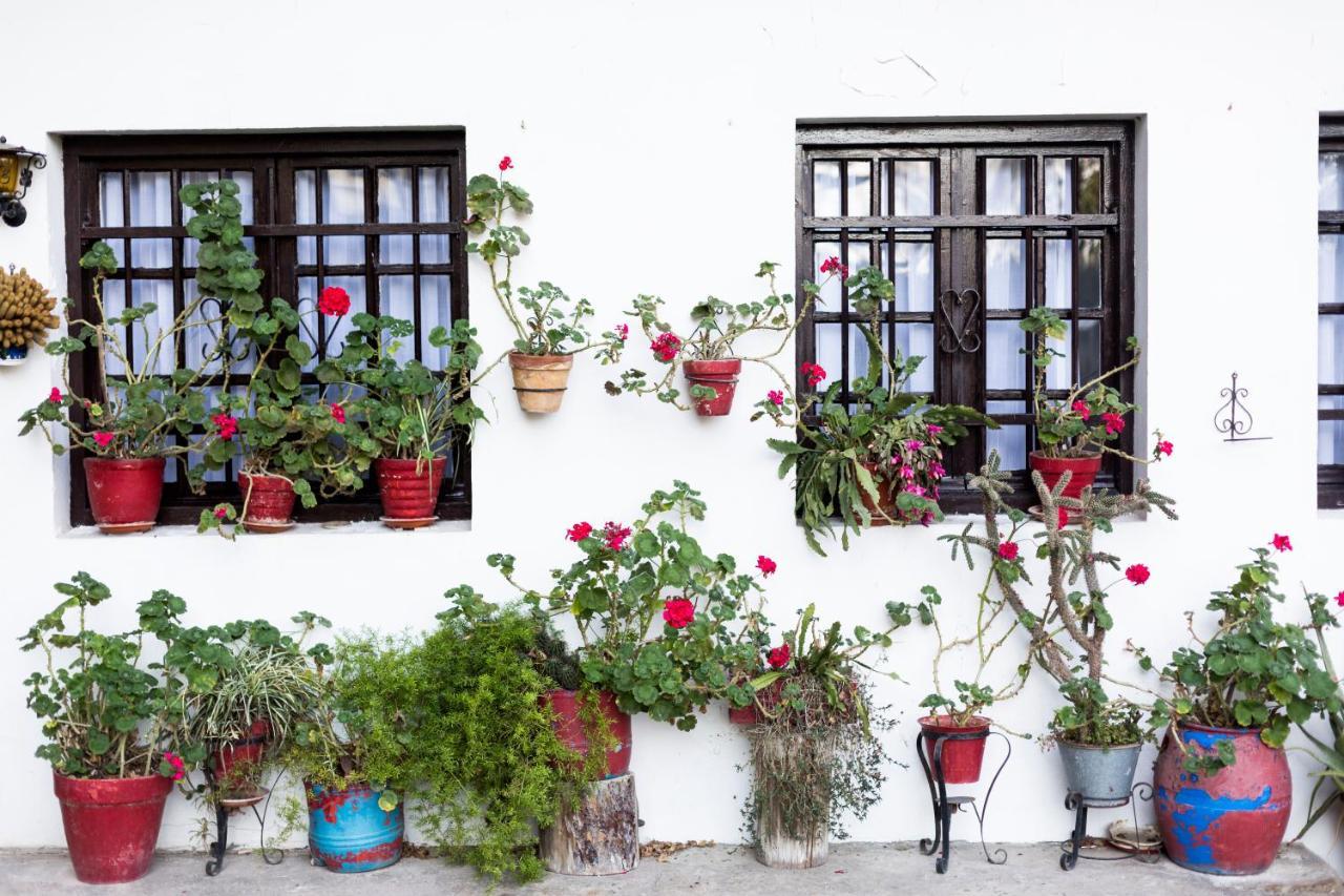 Olerki By Smiling Rentals Hondarribia Esterno foto